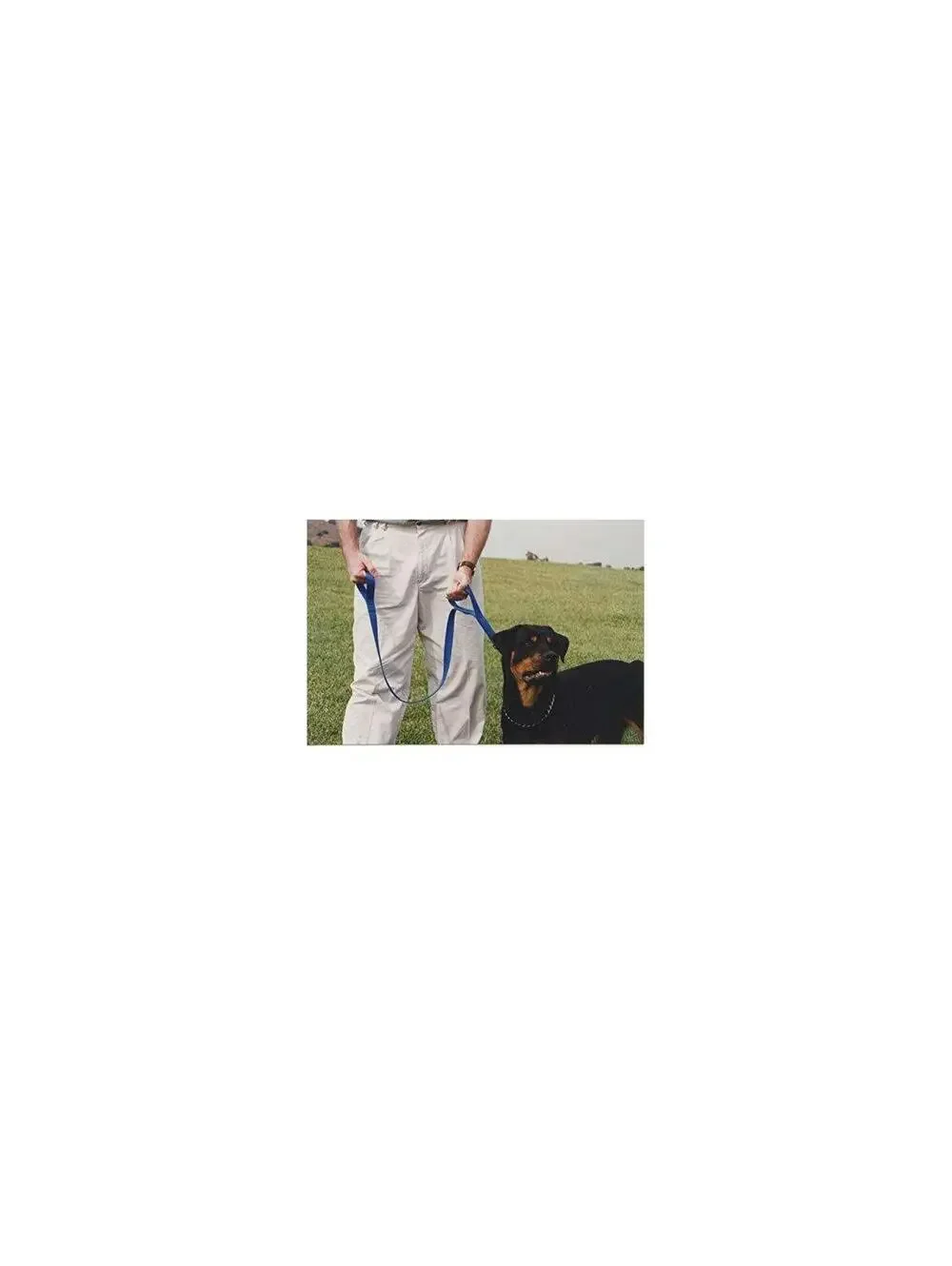 Grrrip Dual Handle Dog Leash 6FT Heavy Duty No Pull Training Lead Medium Large